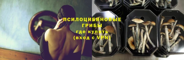 таблы Арсеньев