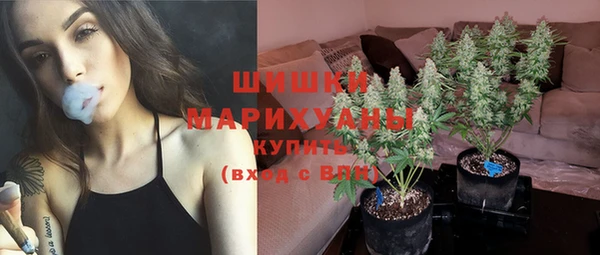 молекула духа Аркадак