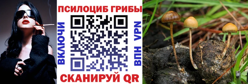 Галлюциногенные грибы мухоморы  Поронайск 